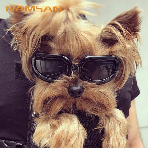 namsan宠物猫咪狗狗泰迪比熊防风沙滩海边拍照道具用品猫狗太阳镜