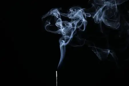 蟾蜍,anuran,青蛙,两栖类动物