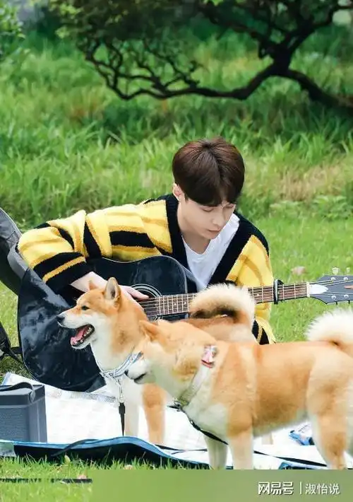 张艺兴秘密训练了三年的女团首次露面,被网友评论笑疯了|黄磊|综艺