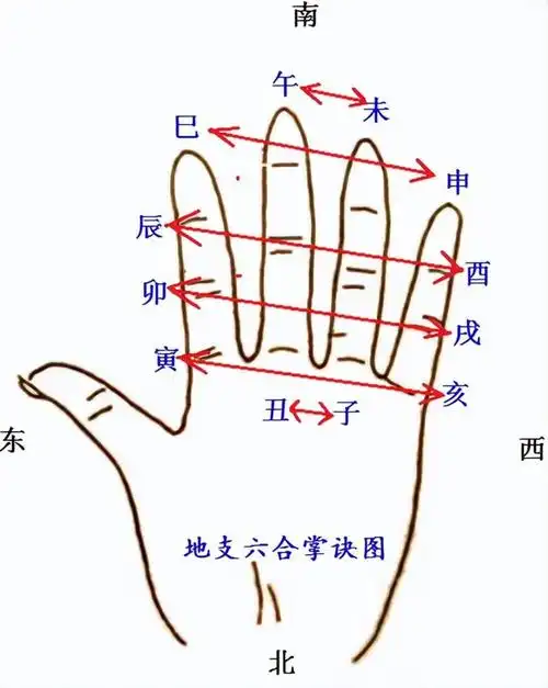 十二地支及掌诀图-方便记忆