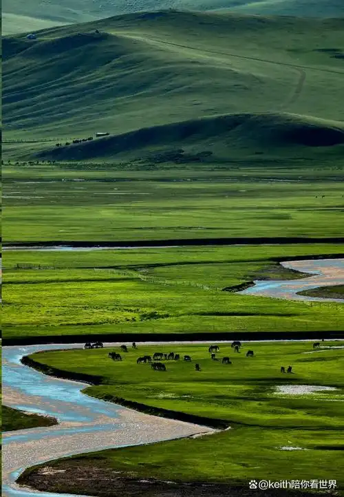 探寻草原美景:内蒙古必游的5个地方!