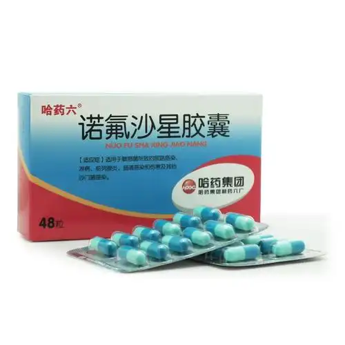 诺氟沙星胶囊01g48s哈药集团制药六厂