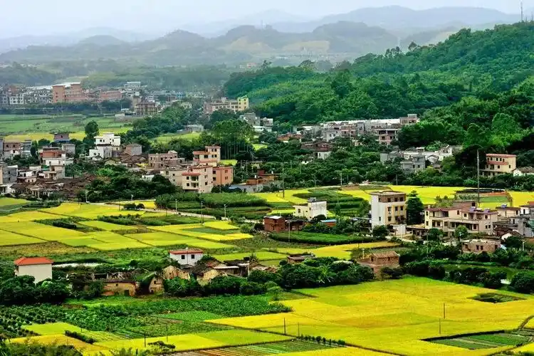 建设好生态宜居的美丽乡村