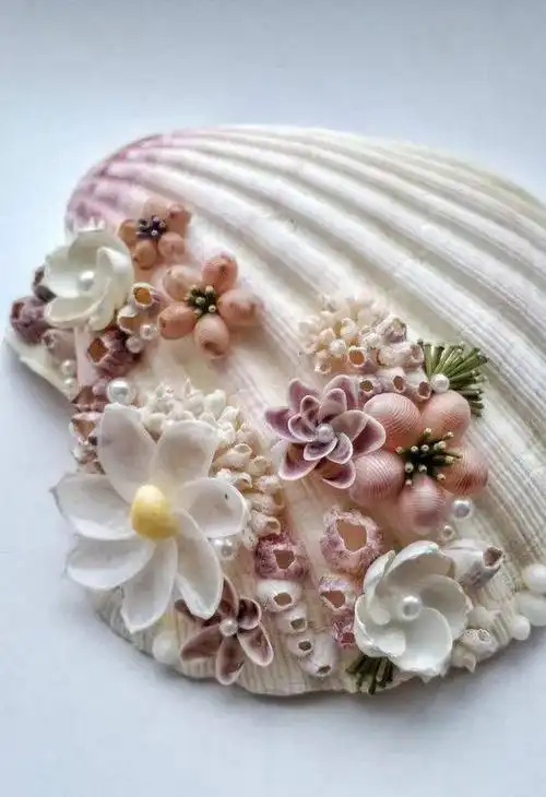 捡回家的贝壳反过来粘在一起简直美爆了