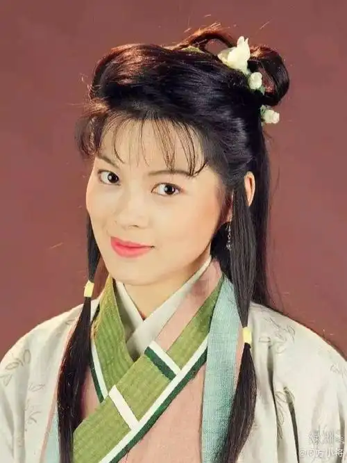 天龙八部刘锦玲阿朱