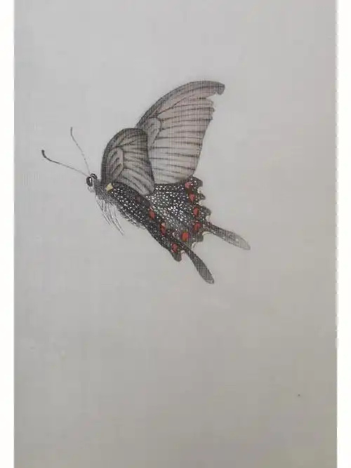 工笔画蝴蝶近期画面中的蝴蝶