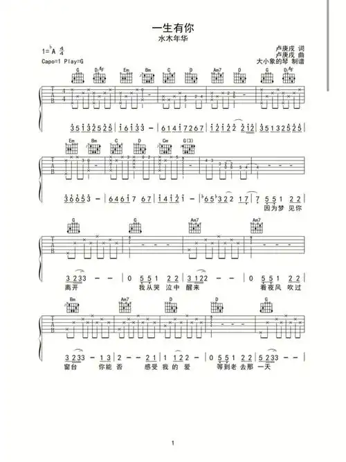一生有你吉他谱