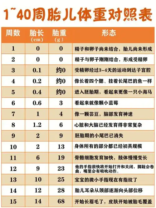 胎儿体重标准值对照表  #胎儿体重