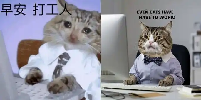 审美不输 midjourney,还是个表情包神器