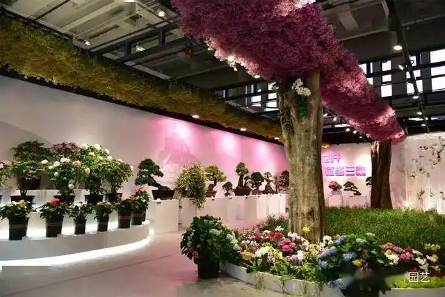 第十届花博会复兴馆看遍全国花省区市室内展区百花绽放