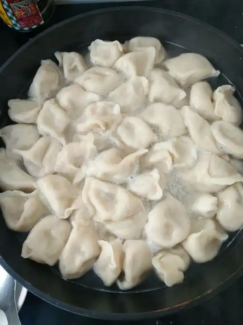 放学了,妈妈把哥哥接回来,就把饺子煮在锅里,看着锅里香香的饺子,我很