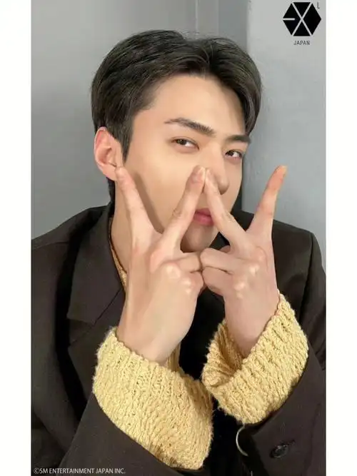 吴世勋wuli忙内小可爱生日粗卡吖