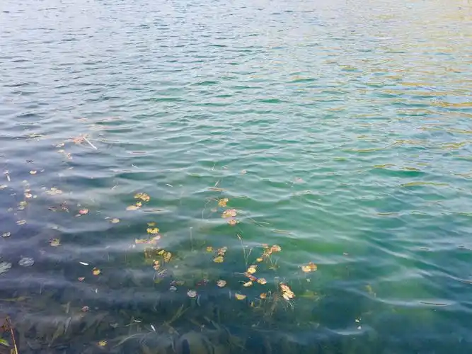 清澈见底的小溪