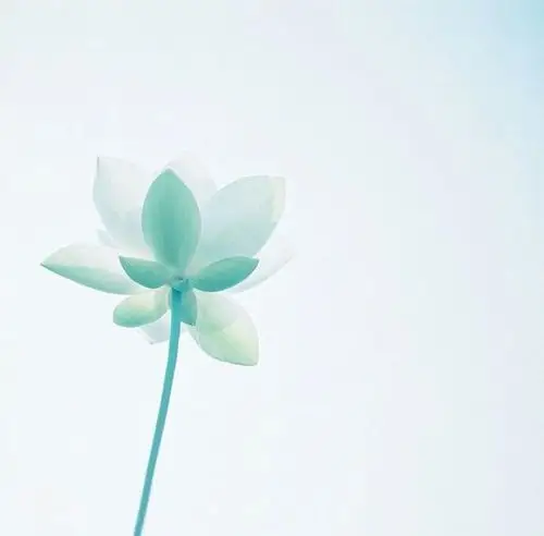 好看的淡雅日系小清新图片