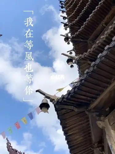 我在等风也等你