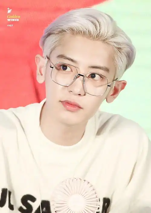 有没有关于朴灿烈的神图?