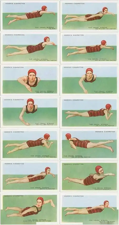 不会游泳的看过来四种泳姿系列游泳教程