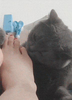 总喜欢闻臭脚臭袜腋臭是什么原因