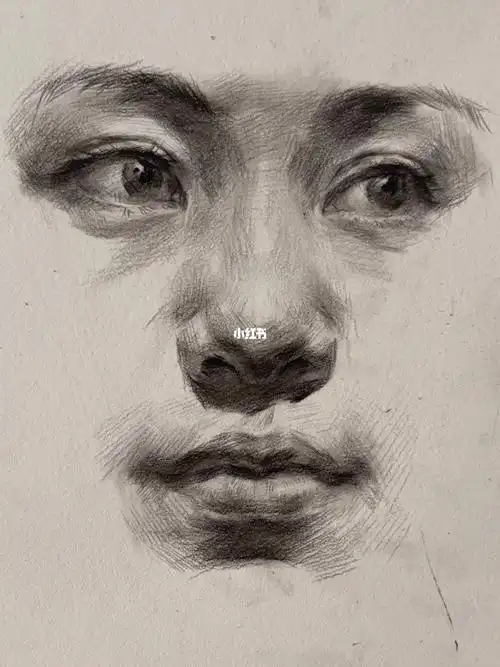 面部五官该怎么画的生动#素描  #素描头像  #五官  #头像  #绘画