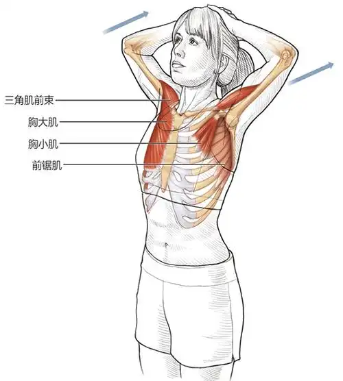 【"阅"享生活】宅家运动指南(第2期)