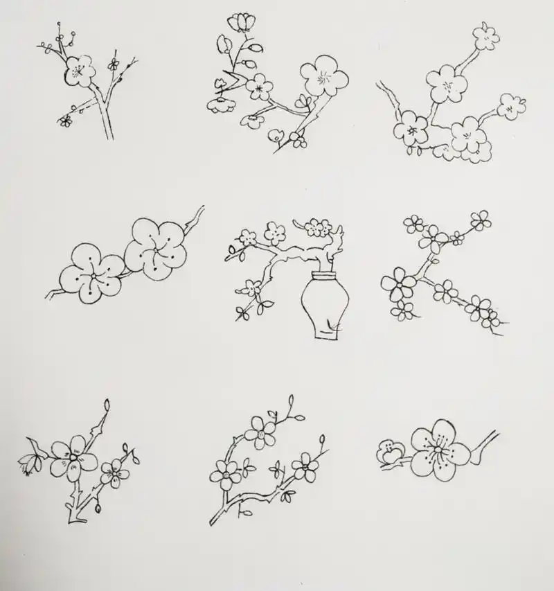 【简笔画】梅花🌸 高产的一天 有空就画起来 加油✌🏻 工具:铅