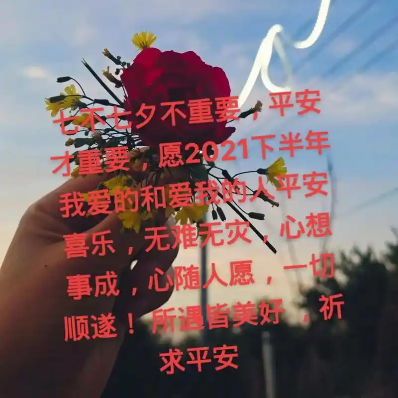 七不七夕不重要,平安才重要,愿2021下半年我爱的和爱我的人 - 抖音