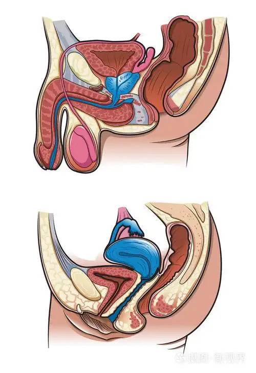 6,老人须扦插繁殖图解 老人须不宜采用扦插繁殖的方式,因为老人须是