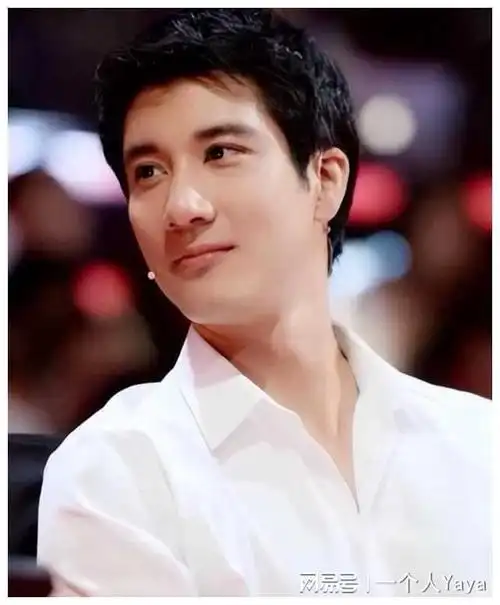 夫妻本是同林鸟但抱歉即使是王力宏也救不了前妻李靓蕾