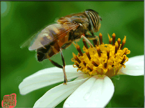 482_361gif 动态图 动图