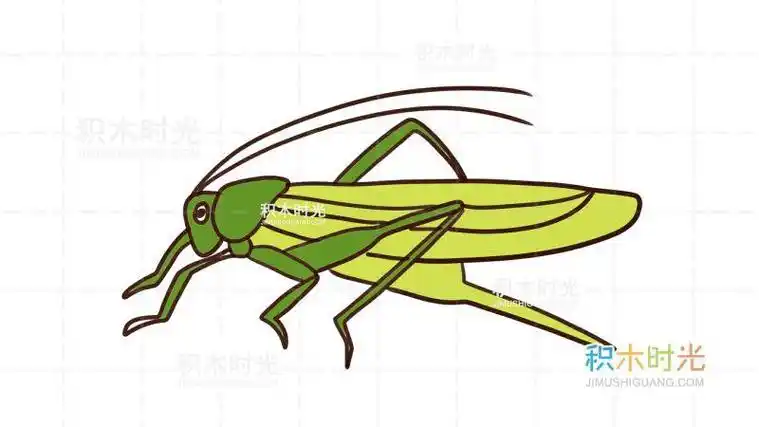 蚂蚱的简笔画彩色