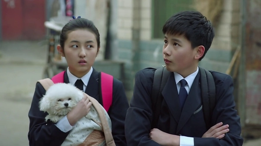 《谁的青春不迷茫》,饰演林子傲4,2015年《快乐酷宝2》,饰演司徒乐3