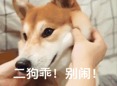 二狗乖!别闹!