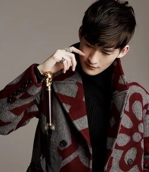 张翰个人资料(张翰,还能火多久?