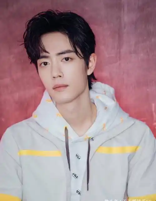 王一博当下片约不断,或成赶超肖战最好时机!_赵丽颖_作品_陈情