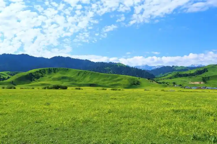 原图欣赏-太平洋摄影部落