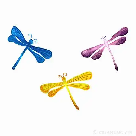 蜻蜓图片_图片大全