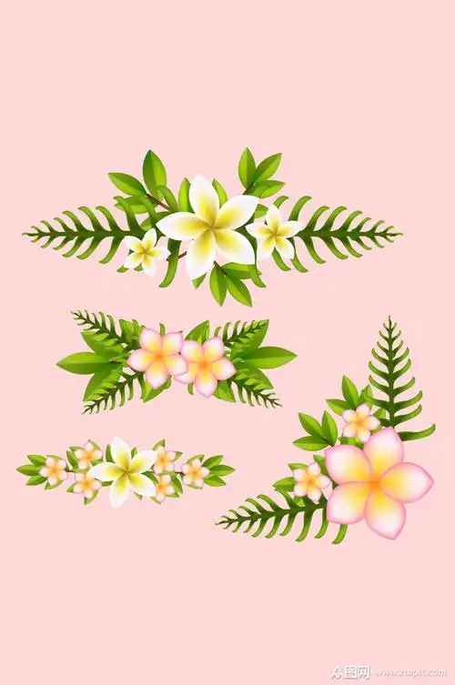 4款白色鸡蛋花和棕榈树叶花边矢量图素材