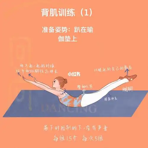 每日一练i背肌训练