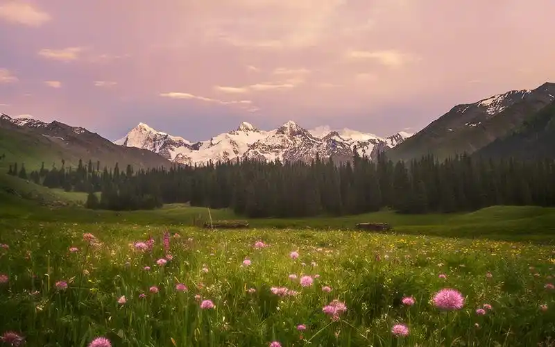 黄昏下的自然风景图片桌面壁纸,风景壁纸,养眼,唯美,风景,自然,唯美