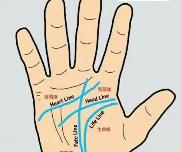 农村俗语断掌一条线富贵不相欠什么意思你是断掌吗