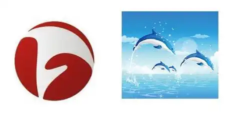 河南卫视启用大象台盘点各地卫视昵称