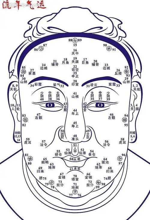 男面相中的冢墓是代表几岁_百度知道