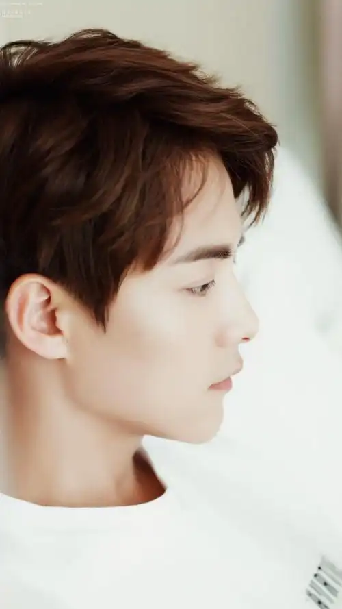 马天宇##图源水印