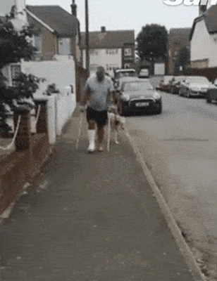 家里的狗狗走路竟然也一瘸一拐起来但是没过几天他发现用单脚走路打上