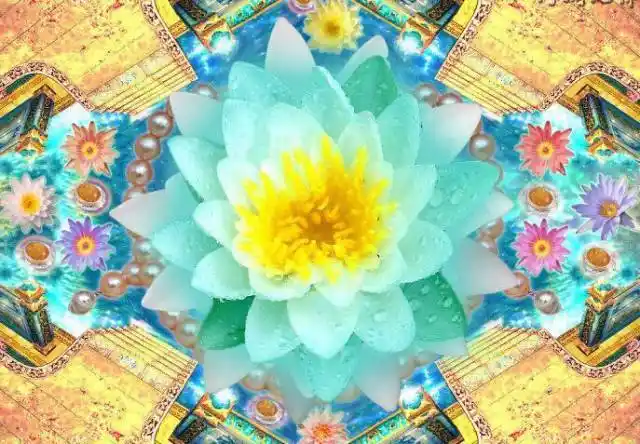 《全国念佛养老院》地址电话大全