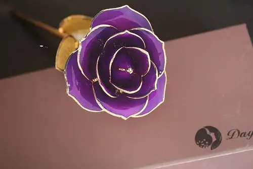 紫色金叶子单枝花