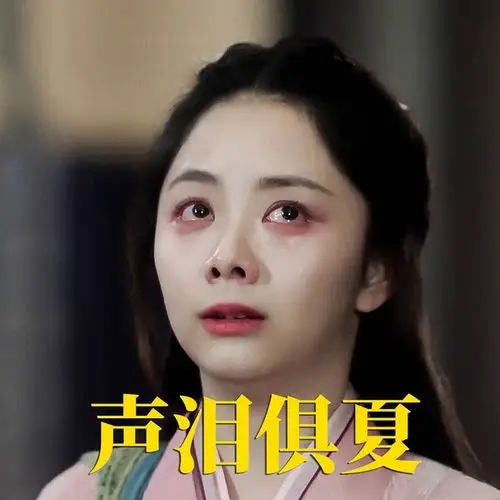 我想求一个今夏锦衣之下袁今夏谭松韵表情包的楼