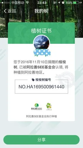 蚂蚁森林真的会种树吗 蚂蚁森林证书图片