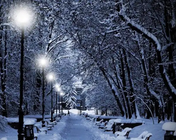 美丽的风光想你陪我看 风景唯美图片