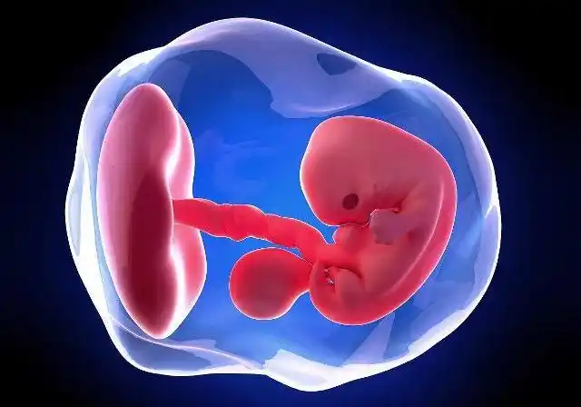 怀孕7周,可见心管搏动,真的正常吗?为了胎儿发育,看看吧